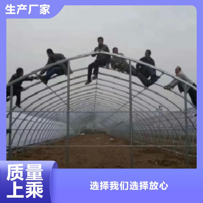 大棚管Q345D钢管颜色尺寸款式定制品质保证