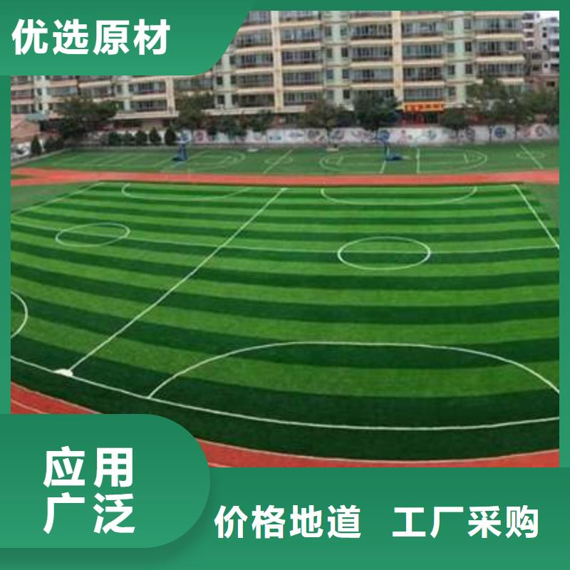 塑胶场地幼儿园塑胶球场制作好品质用的放心分类和特点