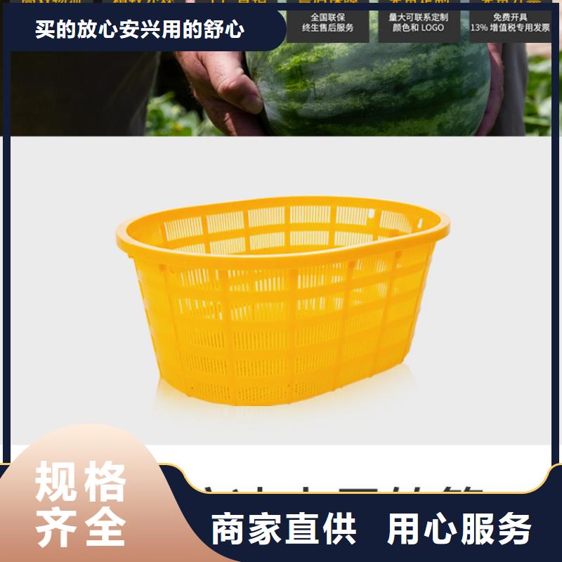 塑料筐國標檢測放心購買生產加工