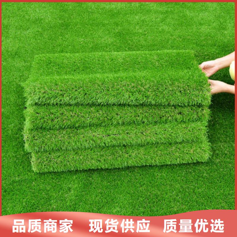 人造草坪-塑胶跑道同行低价产地直销