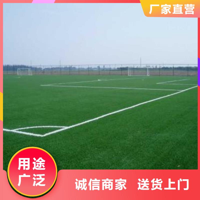 人造草坪同质透心地材多年行业积累发货及时
