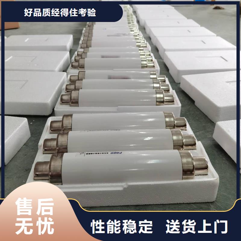 高壓熔斷器避雷器講信譽保質量用心做品質