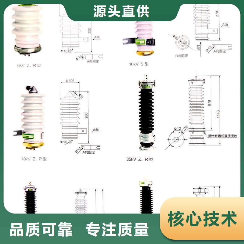 氧化鋅避雷器高壓保險(xiǎn)絲保險(xiǎn)管用的放心[本地]品牌