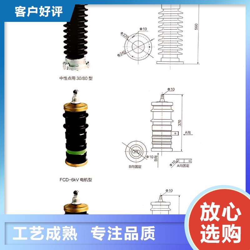 氧化鋅避雷器電磁鎖質(zhì)量?jī)?yōu)選為您精心挑選