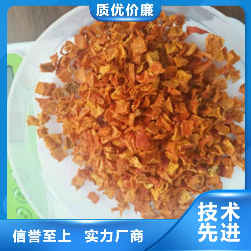 南瓜丁靈芝菌種產(chǎn)地直供快速生產(chǎn)