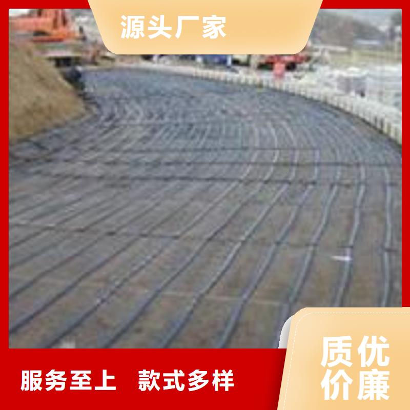 【單向塑料土工格柵】護坡土工網大量現貨廠家型號齊全