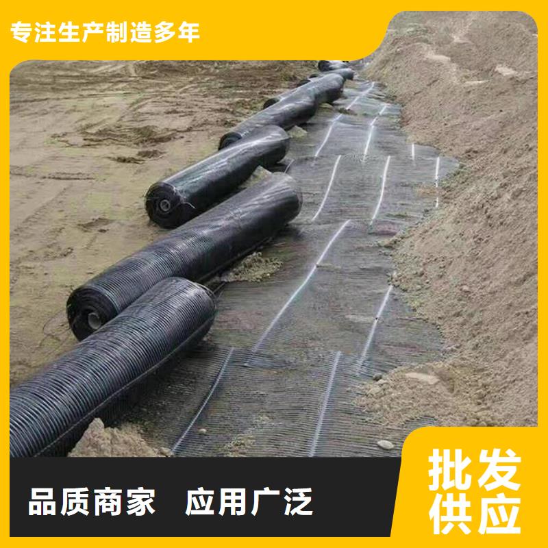 單向塑料土工格柵土工布廠家技術(shù)完善質(zhì)量無憂