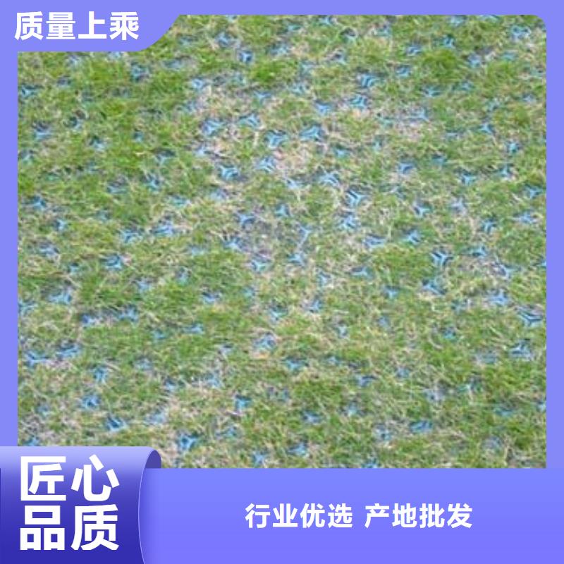 【植草格,PVC防水卷材暢銷當(dāng)?shù)亍客墙?jīng)銷商