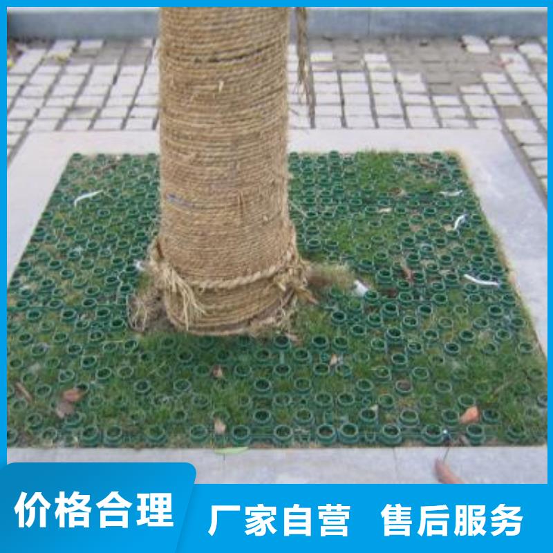 植草格,三維土工網(wǎng)墊廠家直銷供貨穩(wěn)定同城生產(chǎn)商