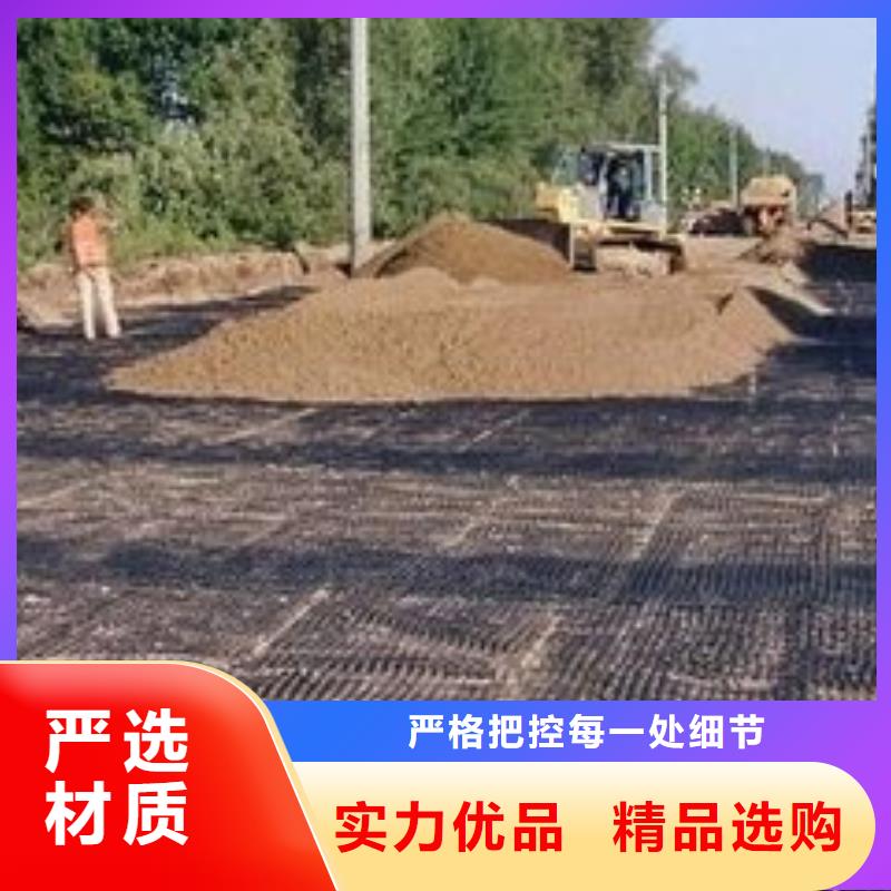 pp焊接土工格柵聚乙烯土工膜全新升級品質保障【本地】服務商