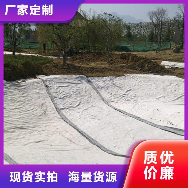 【膨潤土防水毯透水土工布?xì)g迎來廠考察】{當(dāng)?shù)貆生產(chǎn)廠家