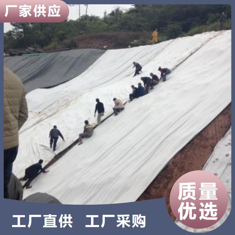 膨潤土防水毯-雙向塑料土工格柵海量庫存[當地]生產商