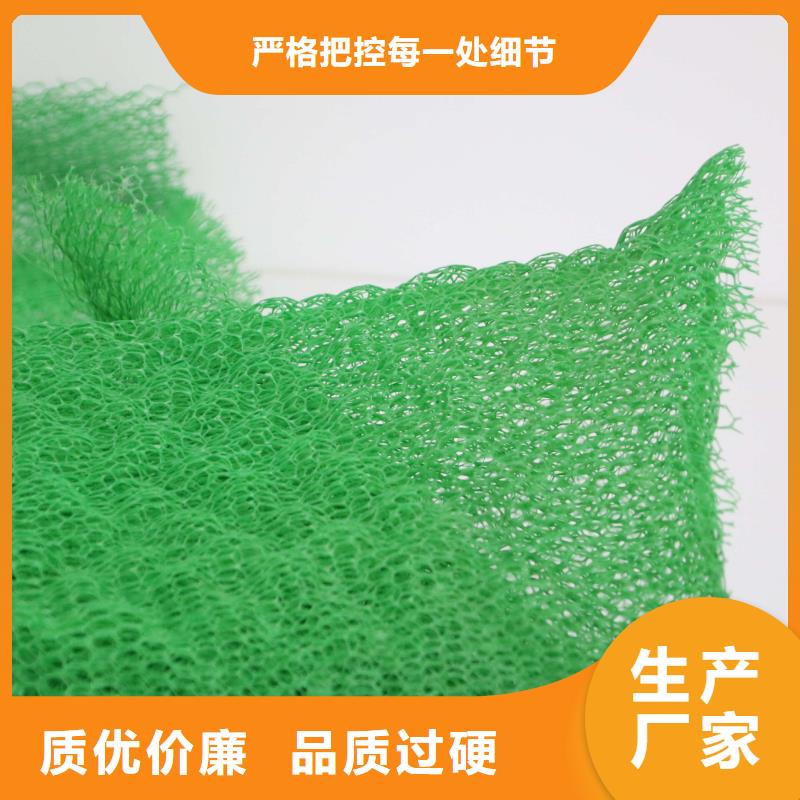 三维植被网,三维土工网垫使用方法研发生产销售