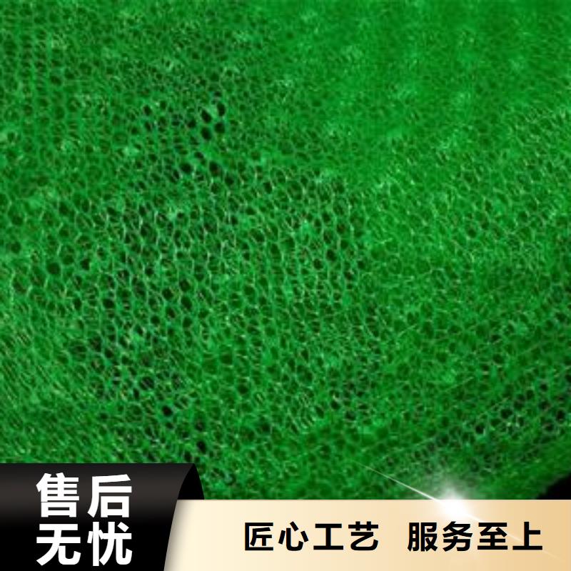 三維植被網土工格室專業生產N年現貨