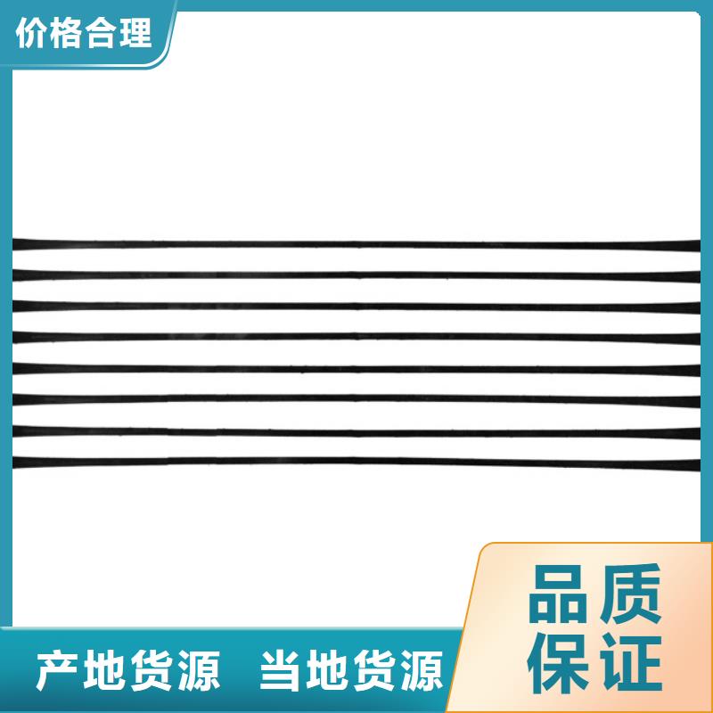 單向拉伸塑料格柵復合土工膜根據要求定制款式新穎