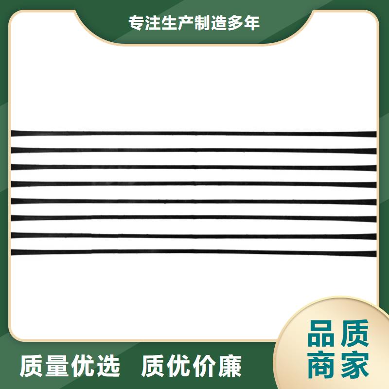 單向拉伸塑料格柵雙向塑料土工格柵廠家實力雄厚[本地]制造商