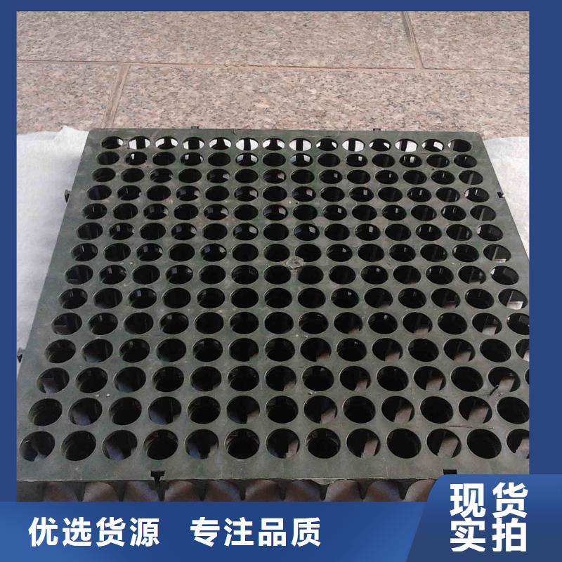 蓄排水板,玻纖土工格柵品質值得信賴本地生產廠家