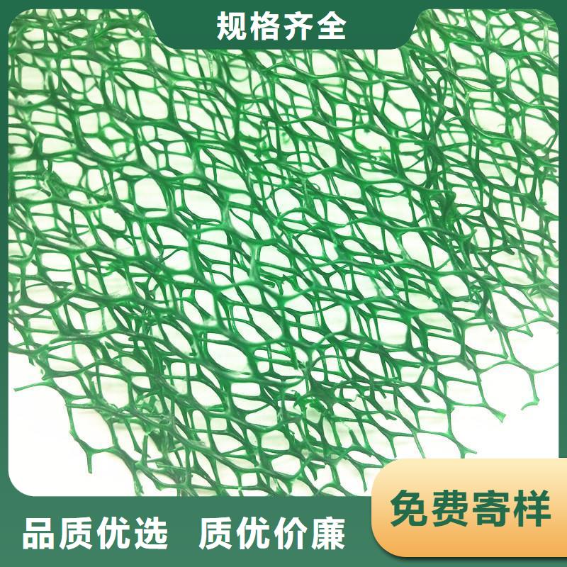 【三維植被網(wǎng)】單向塑料土工格柵讓客戶買的放心應(yīng)用范圍廣泛