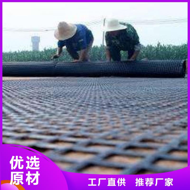 鋼塑土工格柵單向塑料土工格柵每一處都是匠心制作<本地>服務商