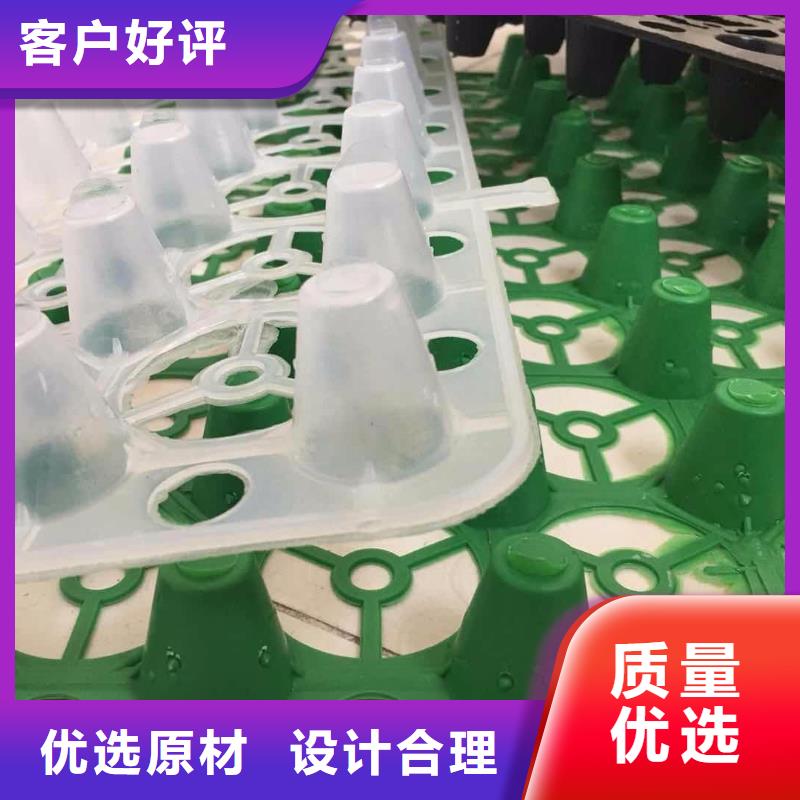 塑料排水板土工席墊產(chǎn)品參數(shù)一站式服務(wù)