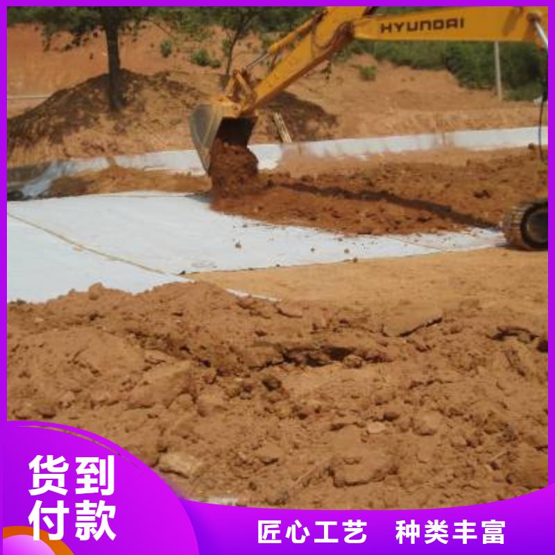 防水毯單向塑料土工格柵多種場景適用【當地】廠家