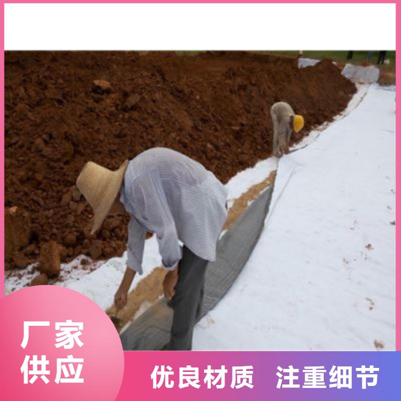 防水毯_多向塑料土工格柵好品質(zhì)經(jīng)得住考驗(yàn)附近生產(chǎn)商