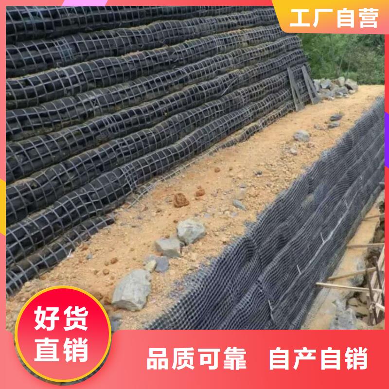 土工格柵_鋼塑土工格柵廠家快捷的物流配送誠信商家