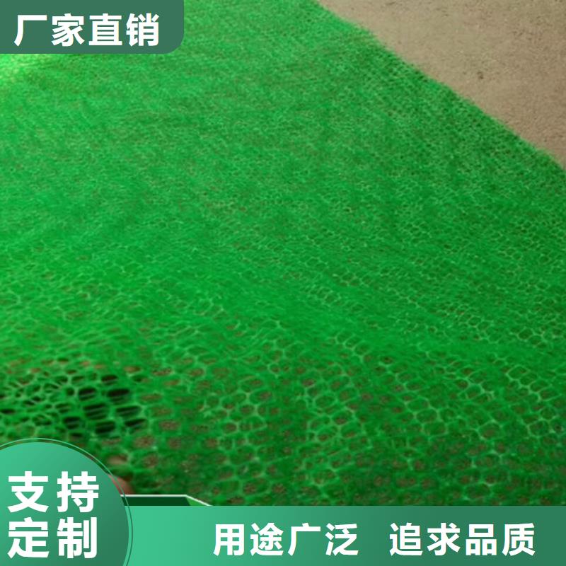 三維植被網(wǎng)土工布經(jīng)久耐用附近服務(wù)商