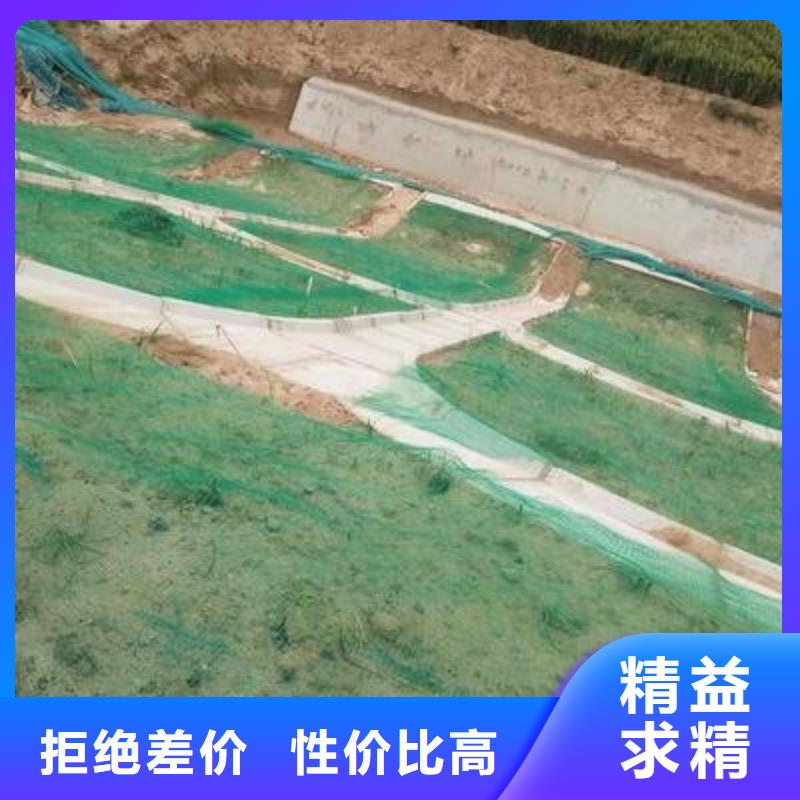 三維植被網【長絲無紡土工布】發貨及時【當地】制造商