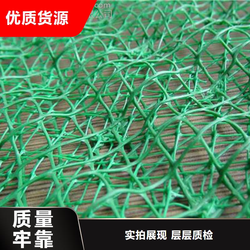 三維植被網_玻璃纖維土工格柵嚴選用料質量好