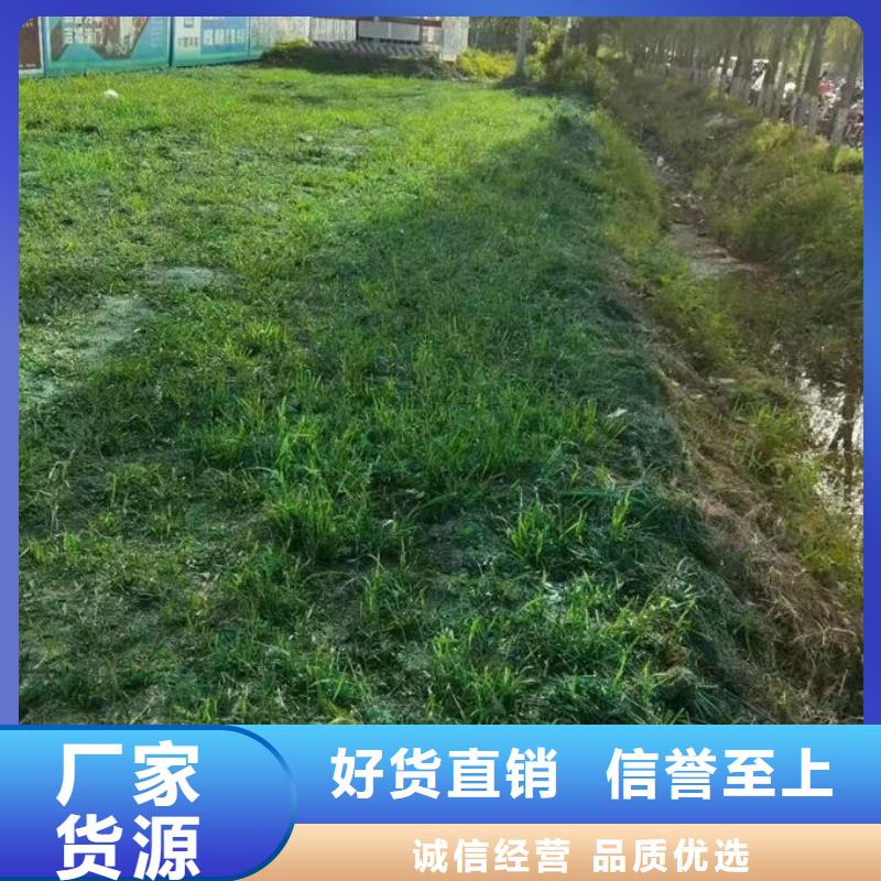 生物酶抑尘剂产地直供丰富的行业经验