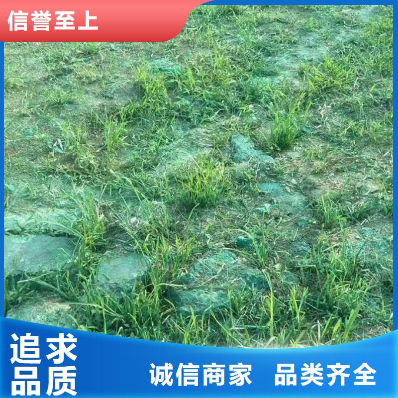 生物酶抑塵劑產地批發一周內發貨