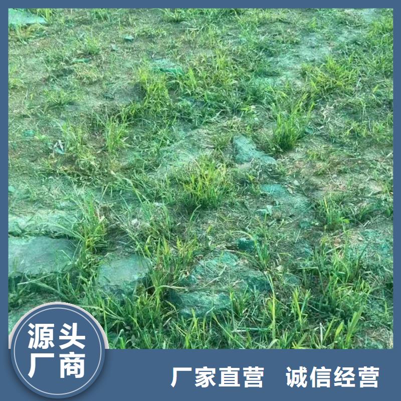 煤炭运输抑尘剂做工细致规格型号全