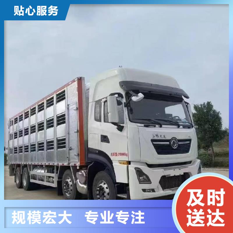 /FJ9187395.html