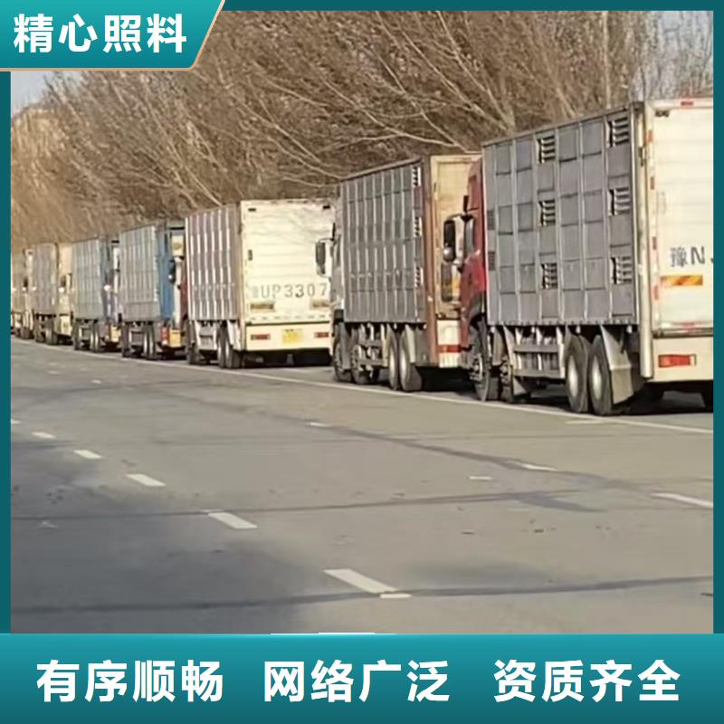宿迁市沭阳到济宁生猪恒温车运输周到细致