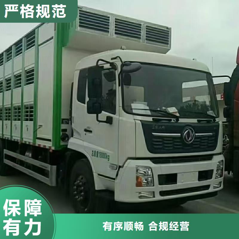 宿迁市泗阳到六安牛运输专用车准时准点
