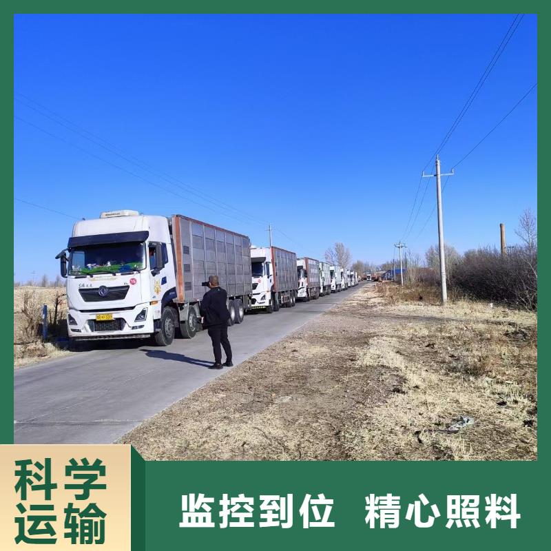 宿迁到浙江活禽运输配送及时