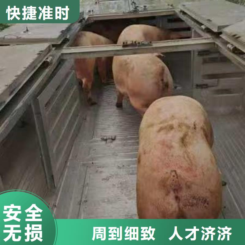 宿迁市泗洪到东营空调车运输专人负责