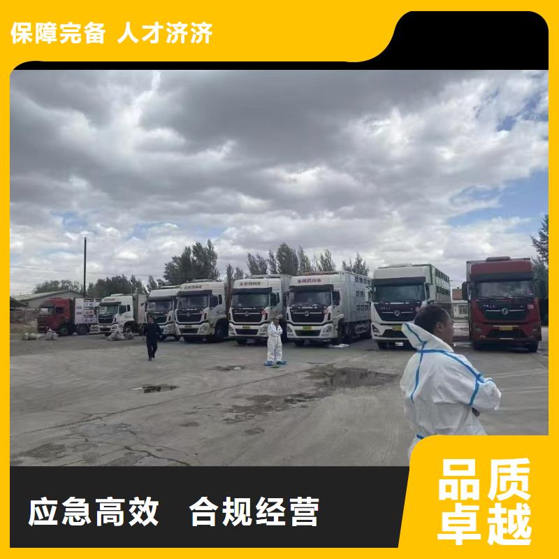 宿迁市到六安活禽运输快速