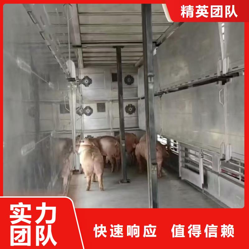 泰州到種豬運輸-恒溫車公道品質保障售后無憂