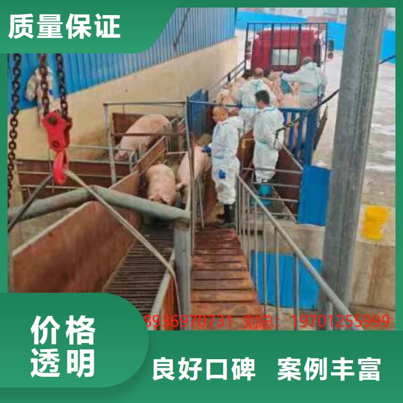 淮安到本溪活禽運輸-恒溫車公道