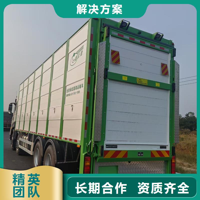宿遷市沭陽到溫州羊運輸-專用車解決方案