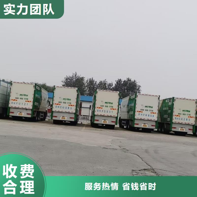 洛阳至丹东生猪运输空调车专业服务