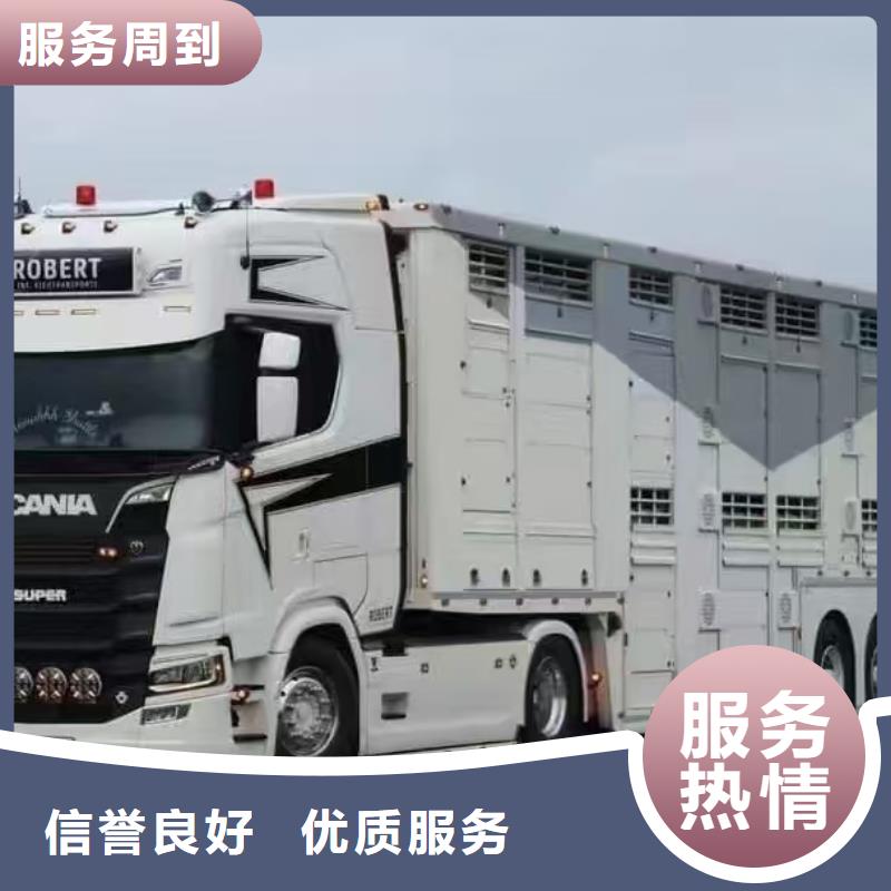 宿迁泗洪到畜禽运输技术先进多年行业积累