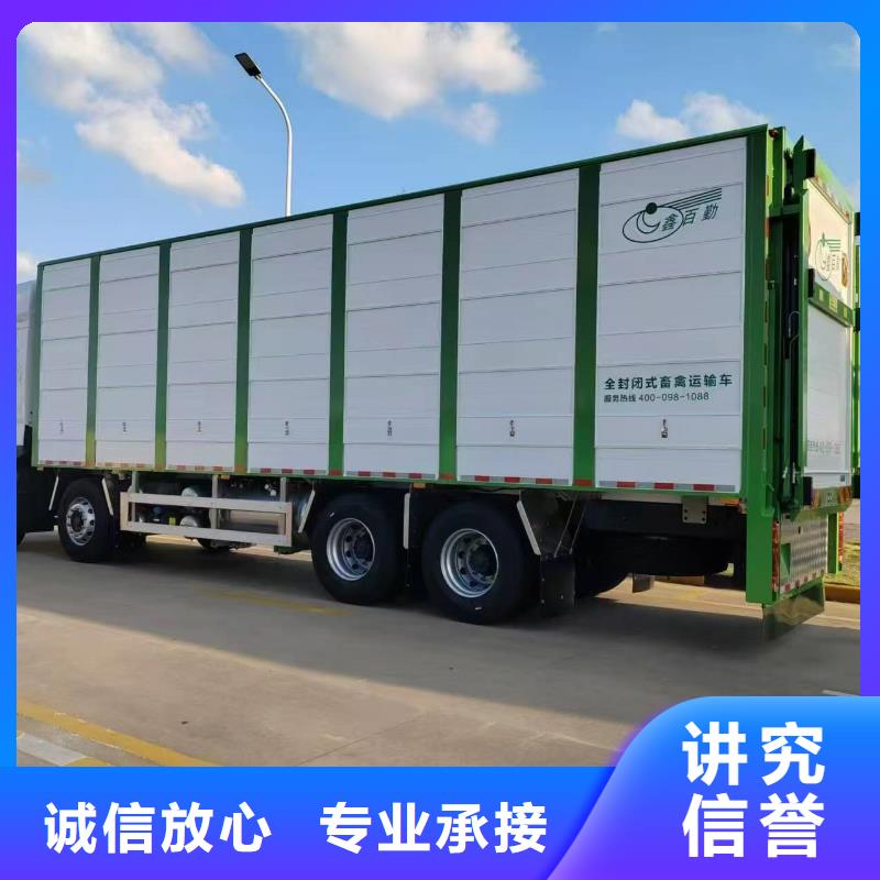 安徽到衢州仔豬運(yùn)輸空調(diào)車品質(zhì)服務(wù)