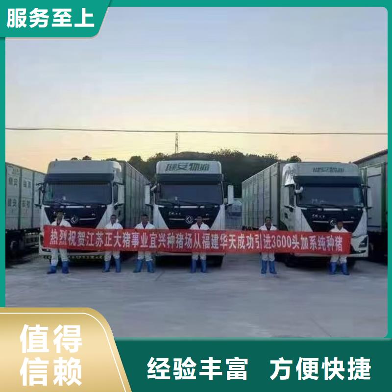 临沂到生猪运输恒温车专业承接大量现货