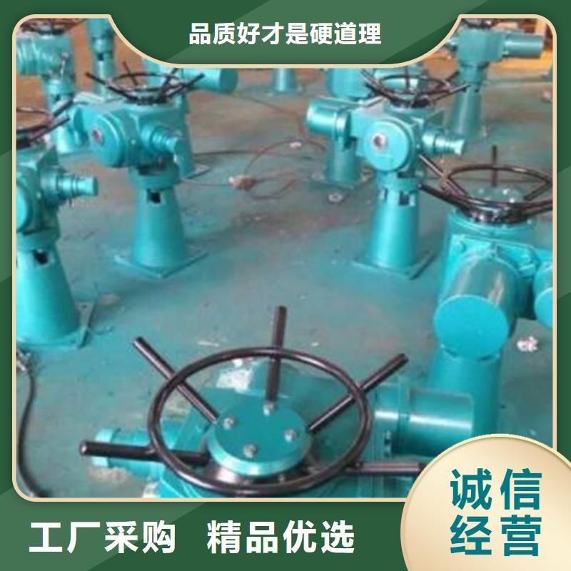 启闭机,PGZ铸铁闸门把实惠留给您长期供应