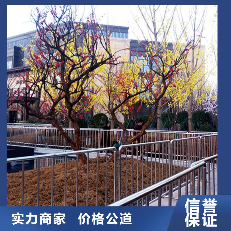 鐵馬護欄出租婚禮篷房出租租賃省錢省時{當地}廠家