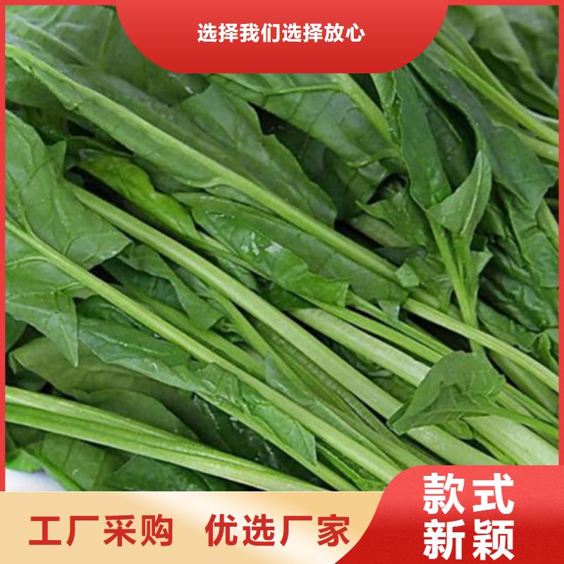 菠菜粉廠家價格{本地}公司