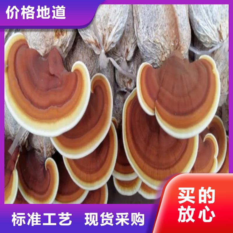 靈芝孢子粉知識(shí)全品類現(xiàn)貨